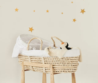 Moses Baskets