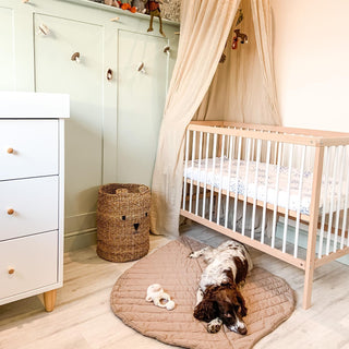 Midi Cot Bed - White Beech (140 x 70) Solid Beechwood